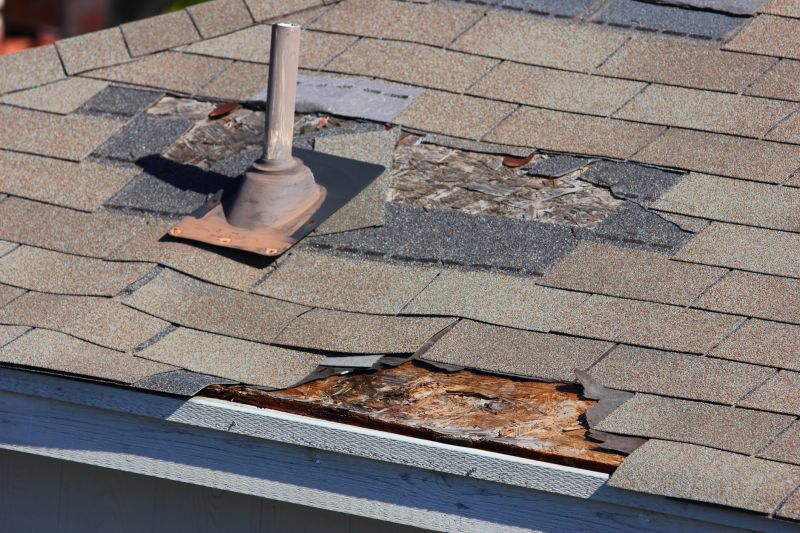 Roof Repair Consultation